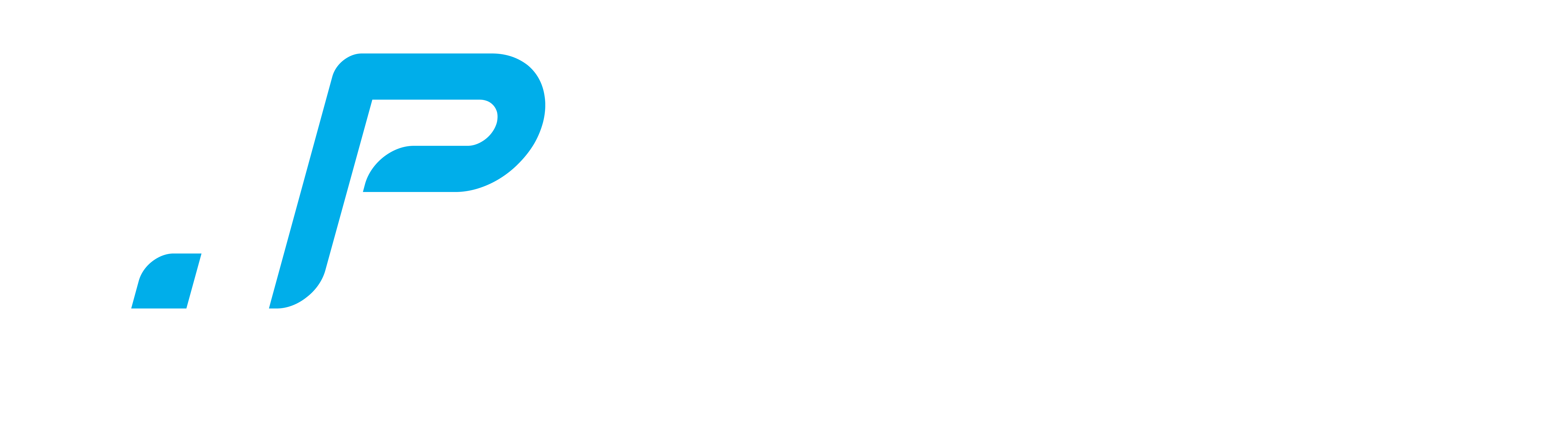 De Pitbox - logo wit
